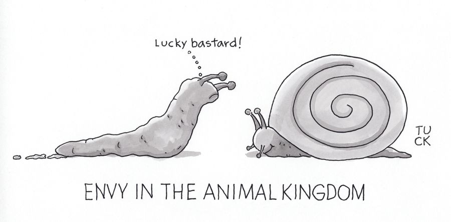 Envy in the Animal Kingdom