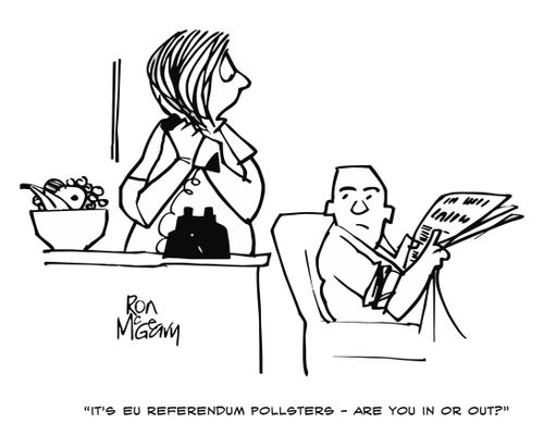 "It's the EU referendum pollsters - are you in or out?"