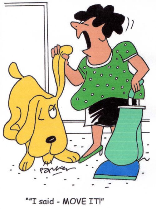 'I said - MOVE IT!'