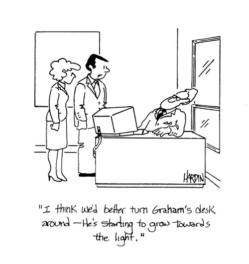 'I think we'd better turn Graham's desk around - he's starting to grow towards the light.'