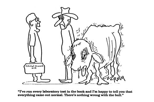 'I've run every labroratory test in the book and I'm happy to tell you that everything came out normal. There's nothing wrong with the bull."