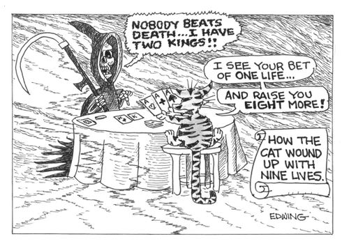 HOw the Cat WOund Up With Nine Lives.
