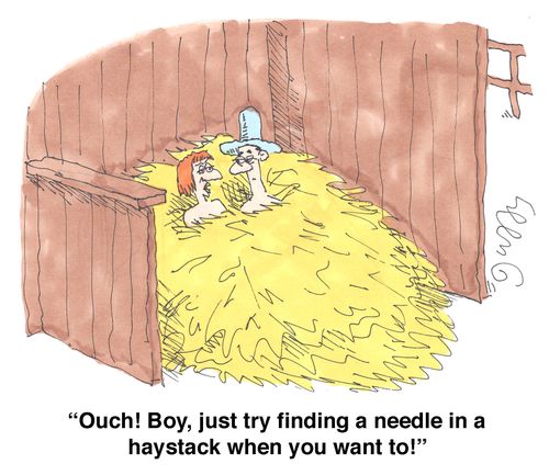 'Ouch! Boy, just try finding a needle in a haystack when you want to!'