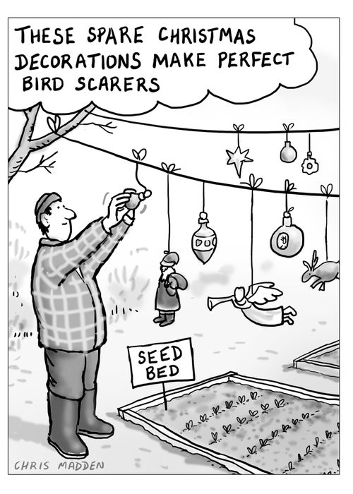 'These spare Christmas decorations make perfect bird scarers.'