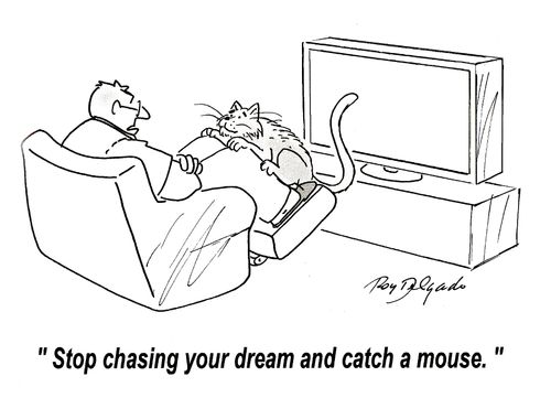 'Stop chasing your dream and catch a mouse.'
