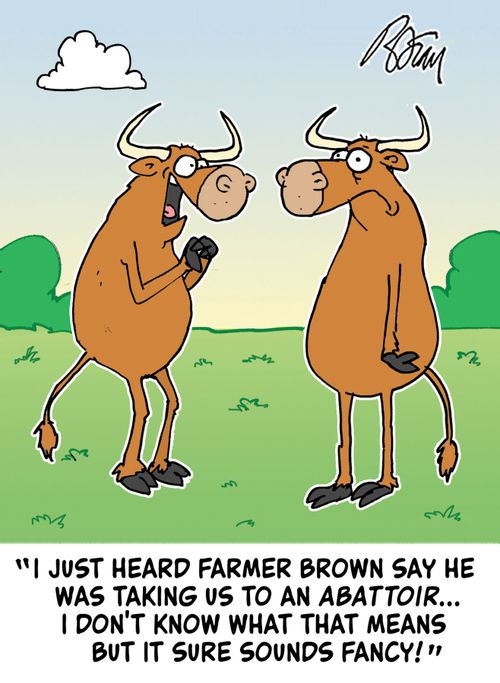 "I just heard Farmer Brown say he was taking us to an abattoir...I don't know what that means but it sure sounds fancy!"