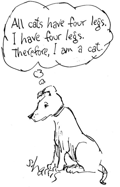 'All cats have four legs. I have four legs. I am a cat.'