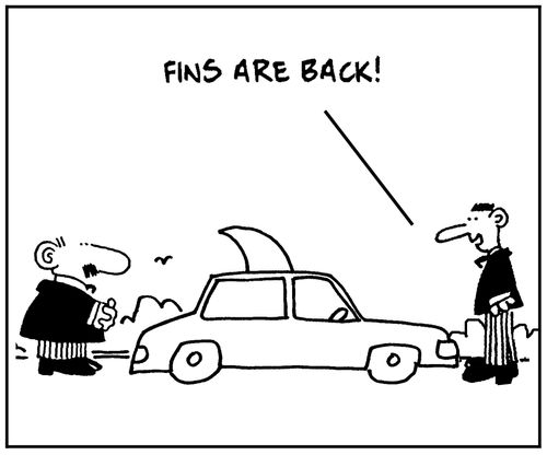 'Fins are back.'