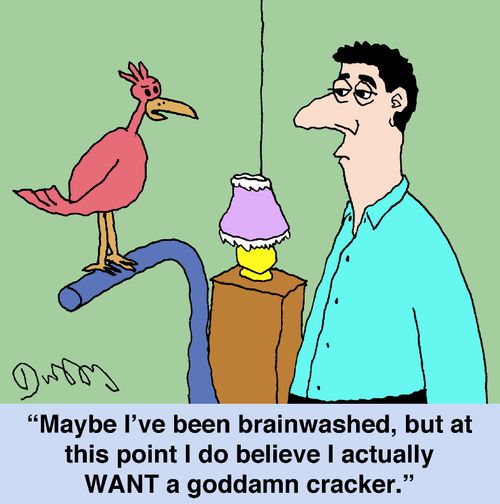 "Maybe I've been brainwashed, but at this point I do believe I actually want a goddamn cracker."