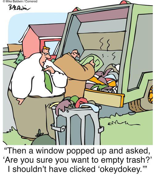 'Then a window popped up and asked, 'Are you sure you want to empty trash?' I shouldn't have clicked 'okeydokey.''