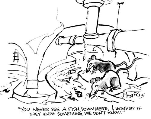 "You never see a fish down here. I wonder if they know something we don't know."