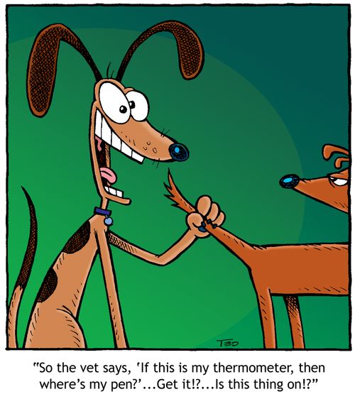 "So the vet says, 'If this is my thermometer, then where's my pen?' . . . Get it!? . . . IS this thing on!?"