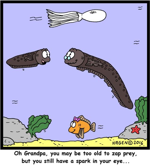 "Oh Grandpa, you may be too old to zap prey, but you still have a spark in your eye..."