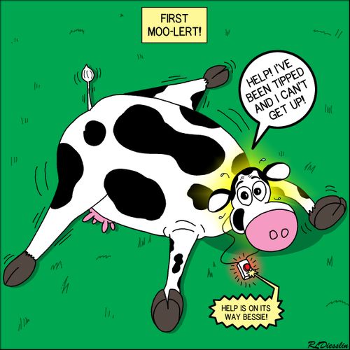 Cow First Moo-lert