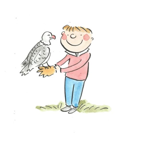 Falconry