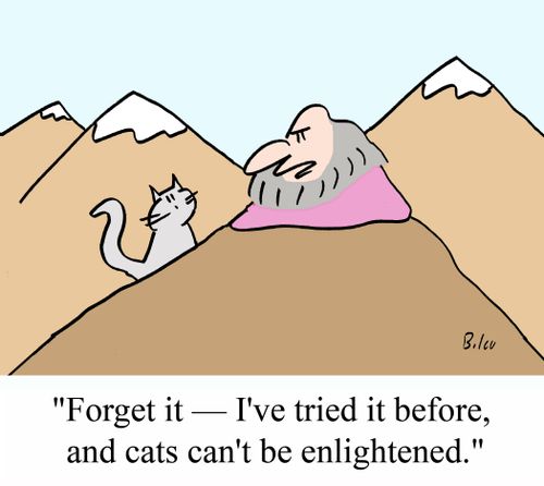 "Forget it - I've tried it before, and cats can't be enlightened."