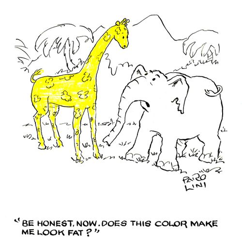 'Be honest now.  Does this color make me look fat?'
