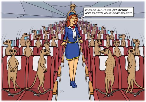 'Please all just sit down and fasten your seat belts!!'