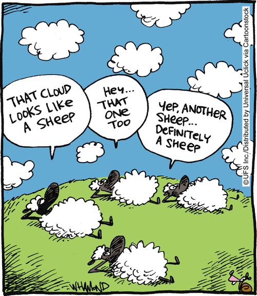 'That cloud looks like a sheep.'