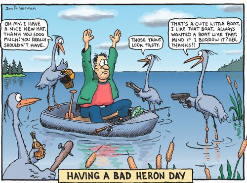 Having a Bad Heron Day.