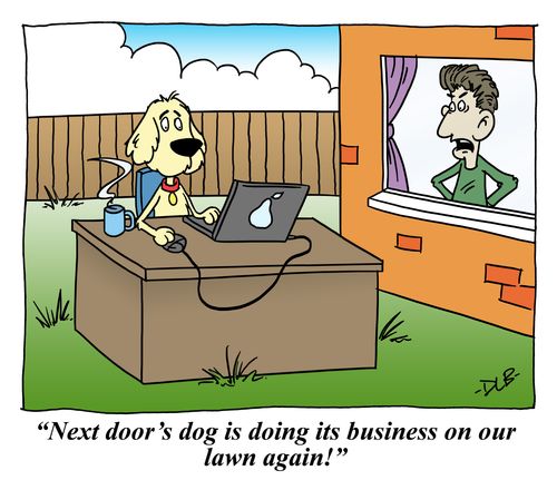 'Next door's dog is doing its business on our lawn again!'