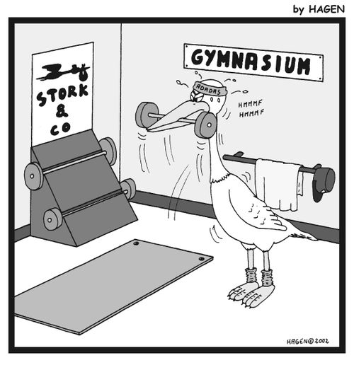 Stork doing weight training.