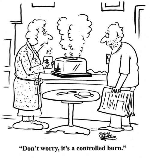 Wife to husband about smoking toaster: 'Don't worry, it's a controlled burn.'