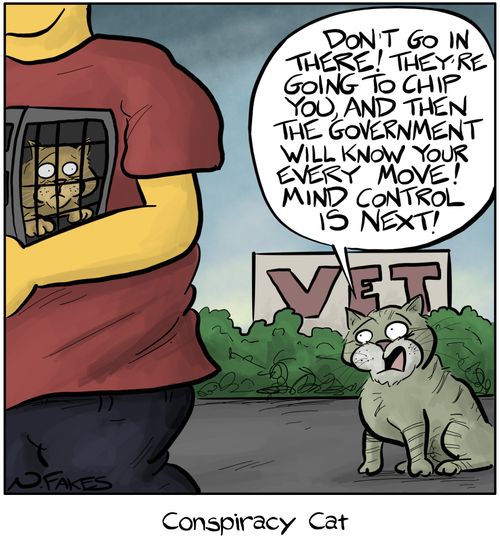 Conspiracy Cat