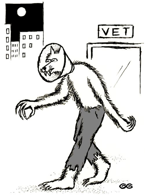WEREWOLF WEARING DOG CONE