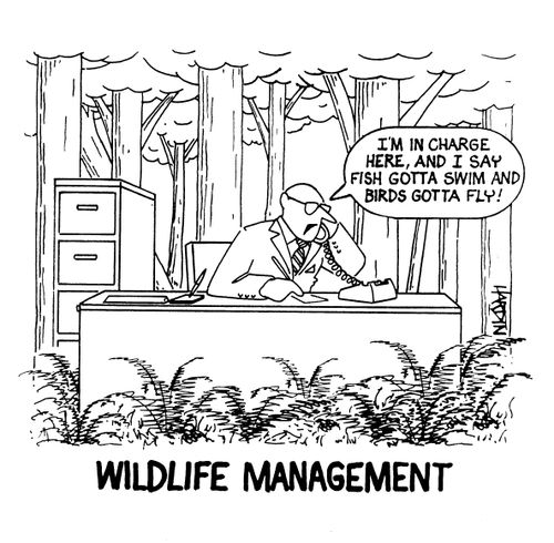 Wildlife Management.