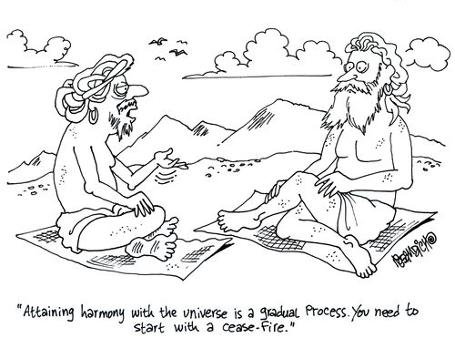 'Attaining harmony with the universe is a gradual process. You need to start with a cease-fire.'