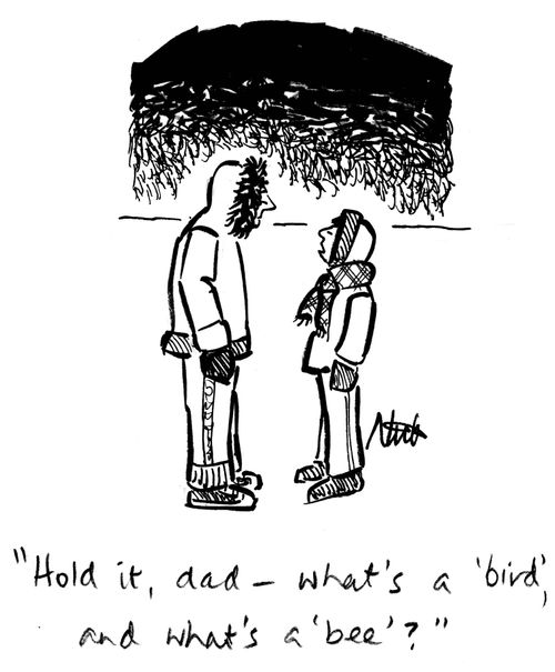 "Hold it, dad - what's a 'bird', and what's a 'bee'?"