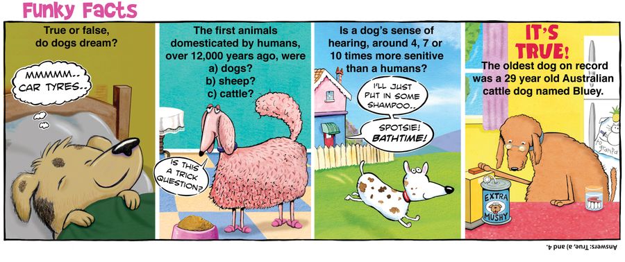 Funky Facts: Dogs.