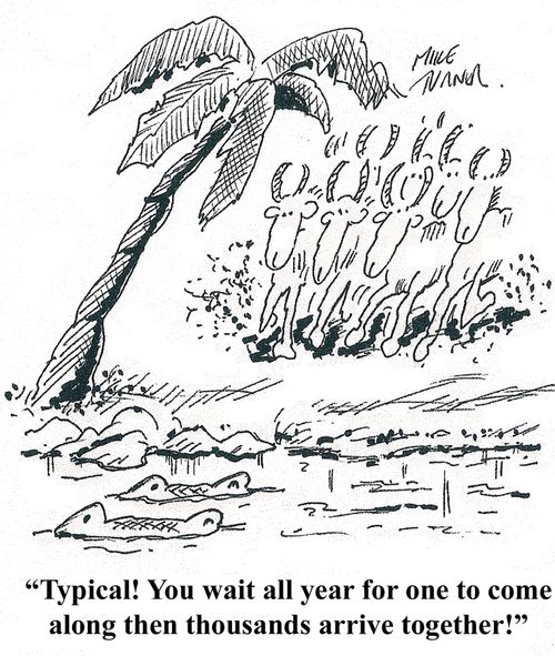 '...thousands arrive together.'