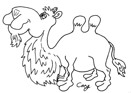 Camel.
