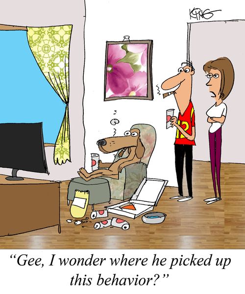 'Gee, I wonder where he picked up this behavior?'