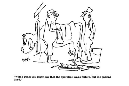 'Well, I guess you might say that the operation was a failure, but the patient lived.