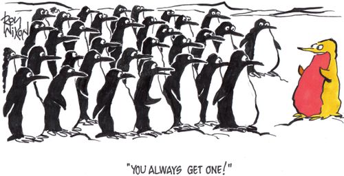 'You always get one!'
