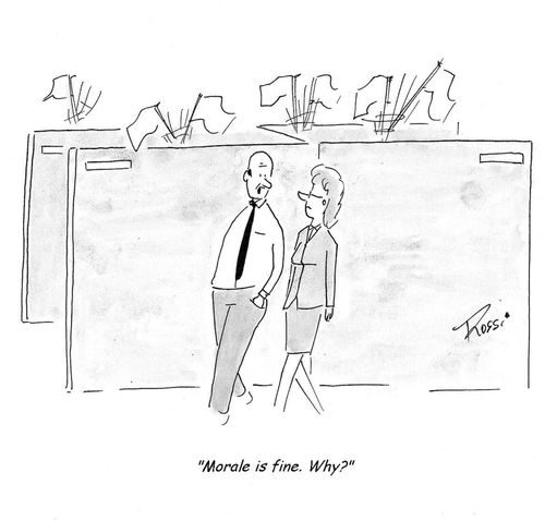 'Morale is fine. Why?'