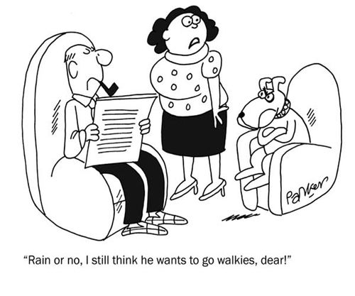 'Rain or no, I still think he wants to go walkies,dear.'