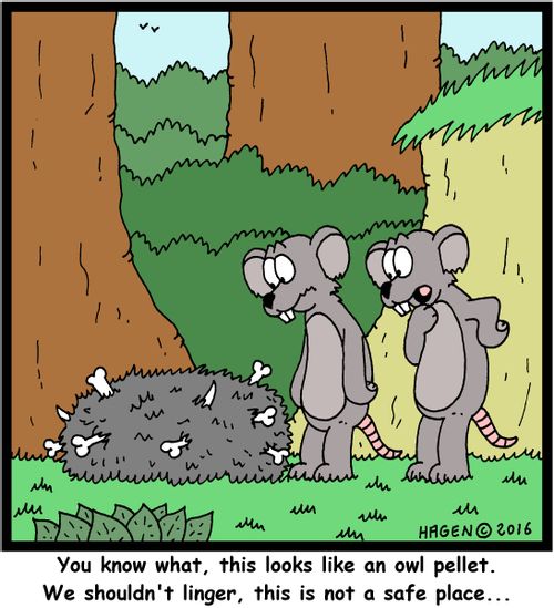 "You know what, this looks like an owl pellet. We shouldn't linger, this is not a safe place..."