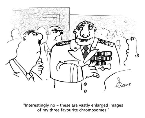 "Interestingly no - these are vastly enlarged images of my three favourite chromosomes."