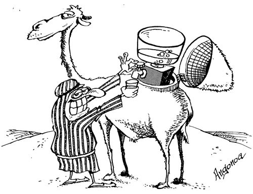 Camels hump is actually a water dispenser tank