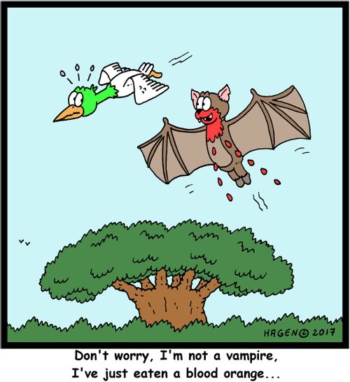"Don't worry, I'm not a vampire, I've just eaten a blood orange..."