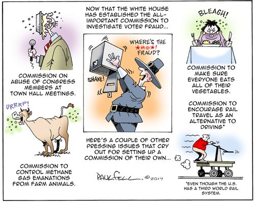 Now that the White House has established the all-important commission to investigate voter fraud....here's a couple of other pressing issues that cry out for setting up a commission of their own...