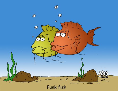 Punk fish