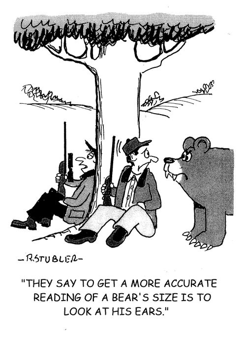'They say to get a more accurate reading of a bear's size is to look at his ears.'