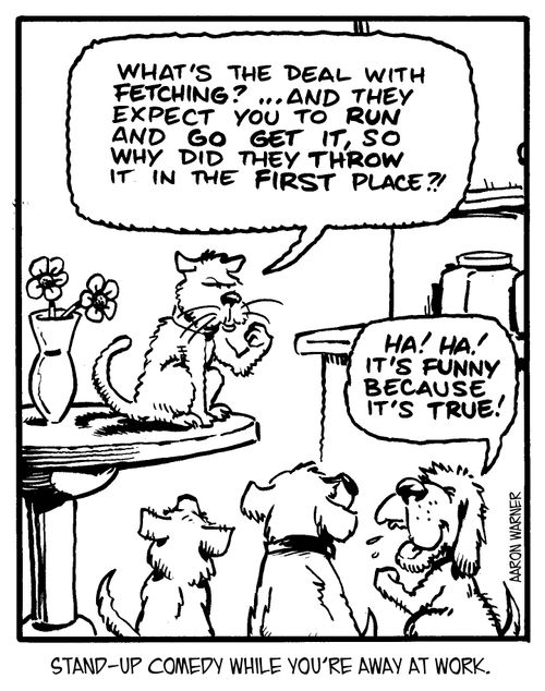 Stand-up comedy while you're away at work. 'What's the deal with fetching? ...And they expect you to run and go get it, so why did they throw it in the first place?' 'Ha! Ha! It's funny because it's true!'