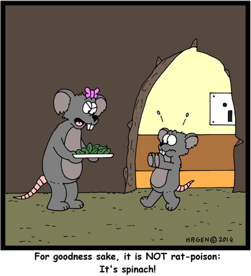 'For goodness sake, it is NOT rat-poison: It's spinach!'