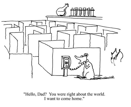 'Hello, Dad? You were right about the world. I want to come home.'